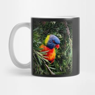 Rainbow lorikeet Mug